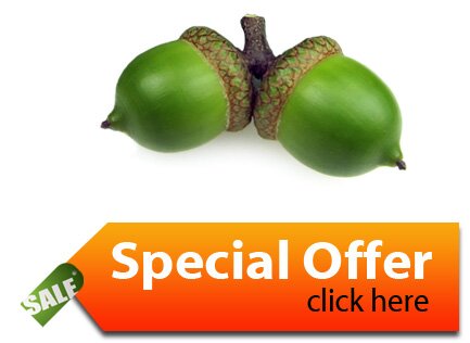 Hardwood Floors - Special Offer
